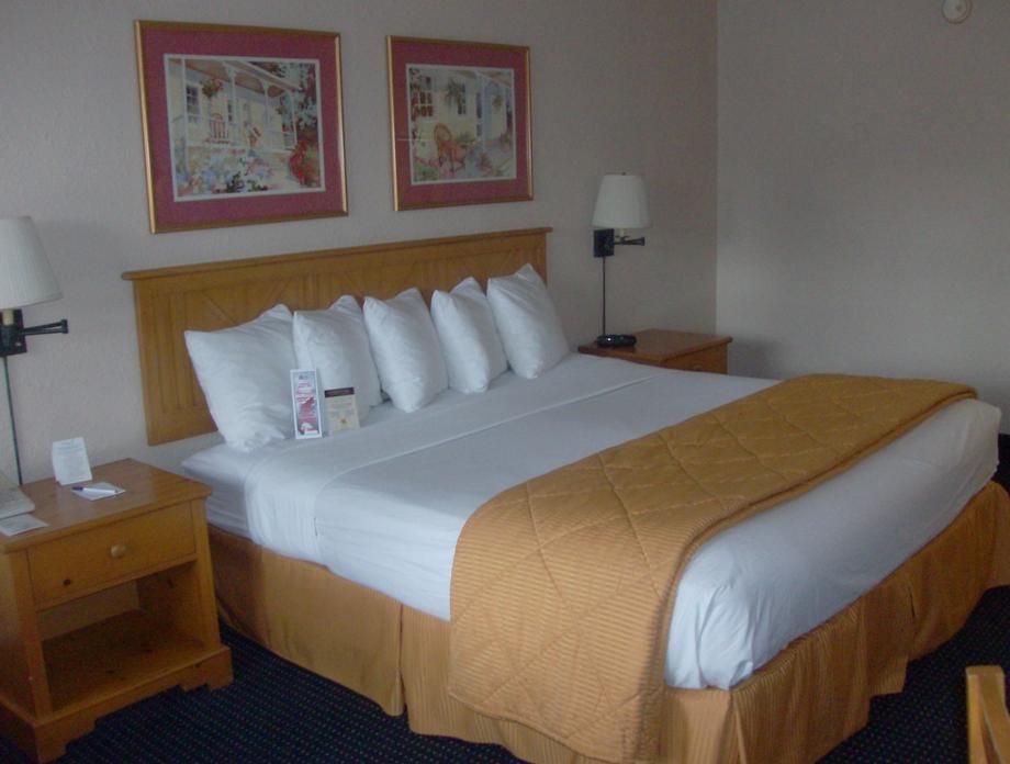Cabot Lodge - Lake City Ruang foto